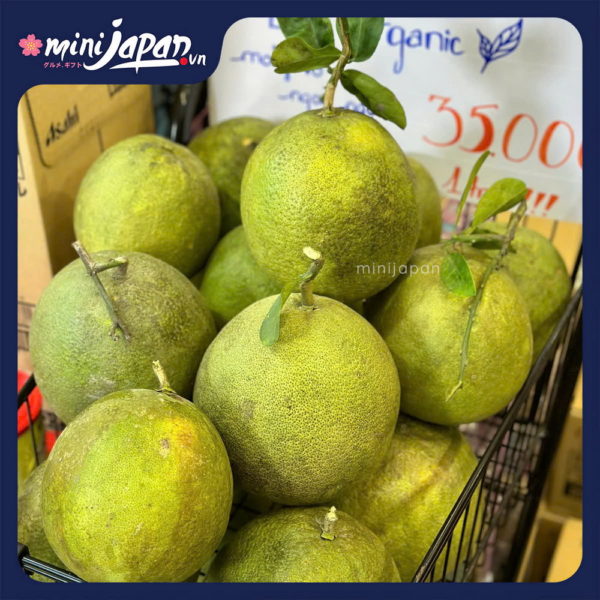 Bưởi Organic nhỏ