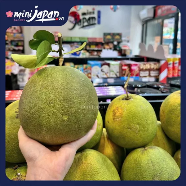 Bưởi Organic lớn